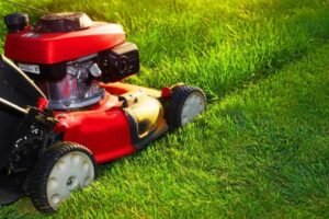 Professional Lawn Mowing Services in London, Ontario