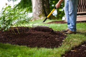Spring & Fall Yard Cleanup in London Ontario: Why It Matters